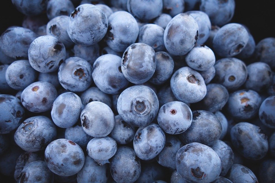 Las blueberries suelen ser muy comunes, además de ser un snack bastante ligero a la hora de comer.