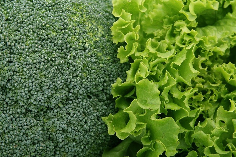 El brócoli y la espinaca es la opción más saludable. 