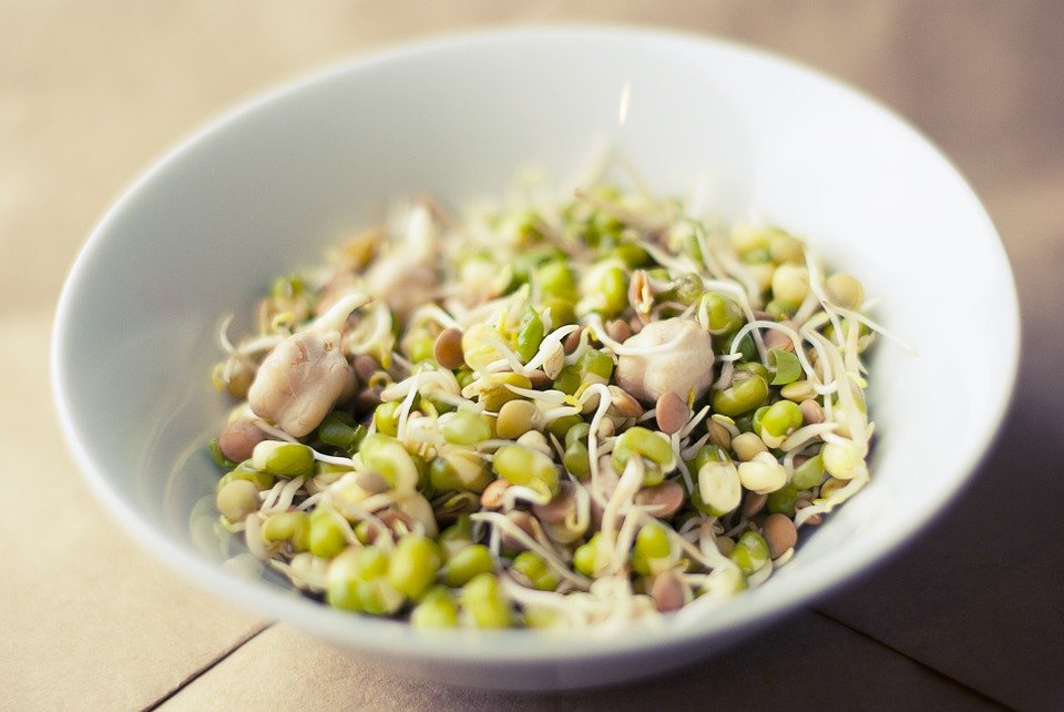 Soy salad has many essential nutrients that can help us get through the day.