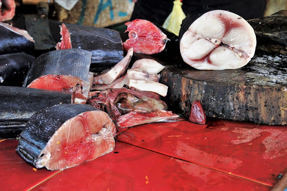 El pescado es la mejor fuente de proteínas y una buena opción para los vegetarianos piscívoros. 