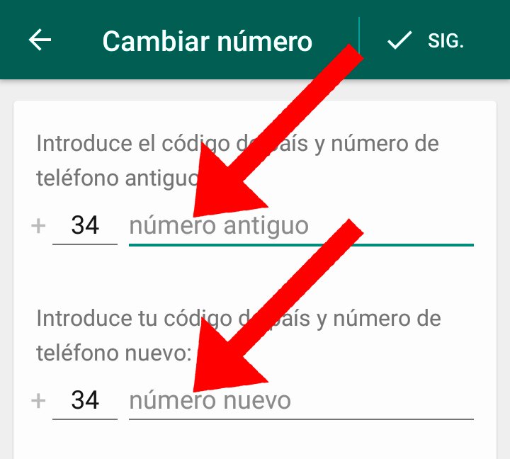WhatsApp: How to change your phone number without losing your messages