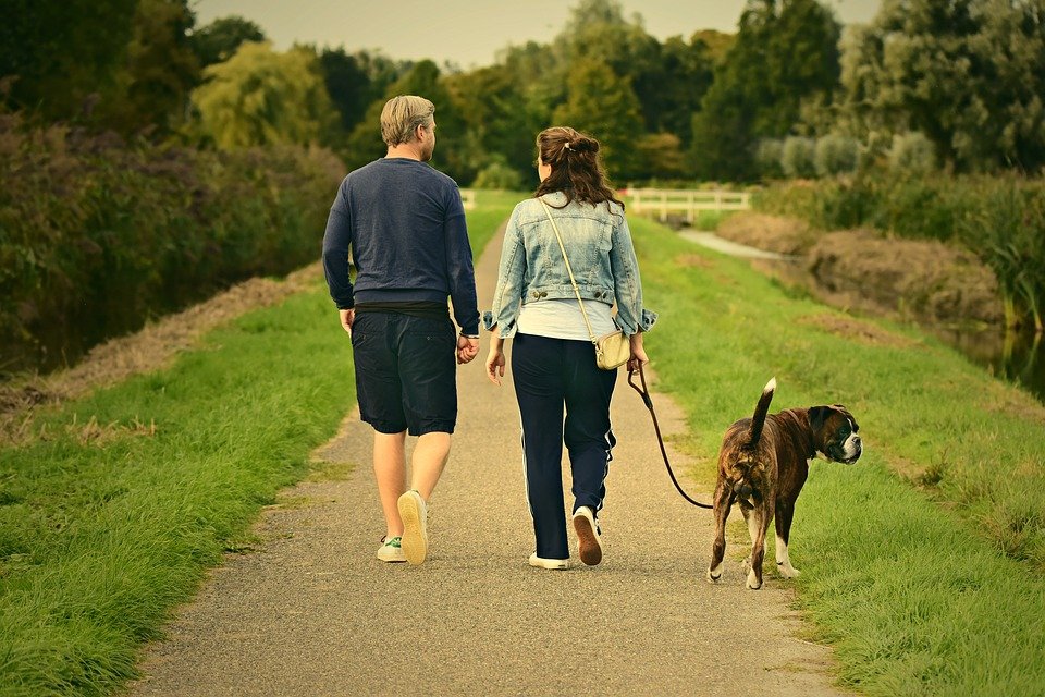 Having a fixed schedule can help our dog associate going out with going to the bathroom.