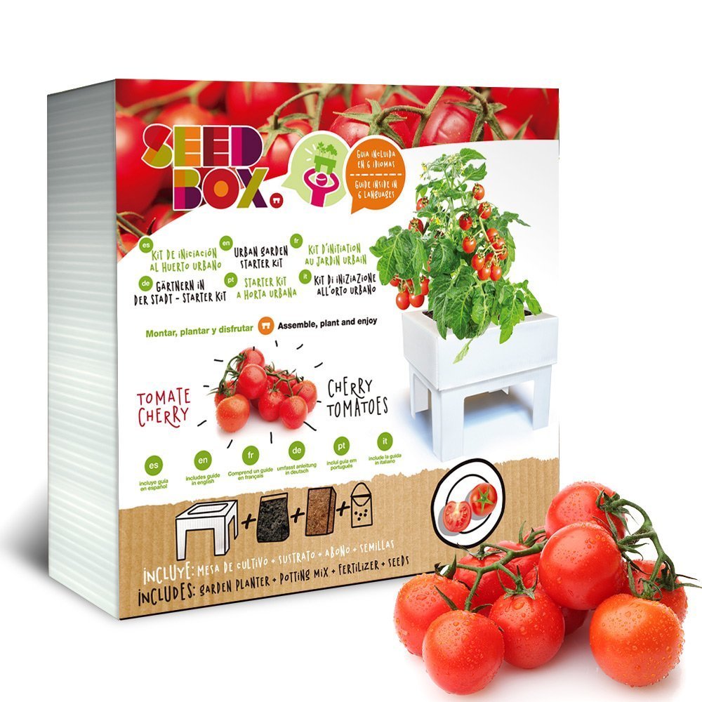 Like the tomato planting kit that comes with its own pot, soil and fertilizer. 