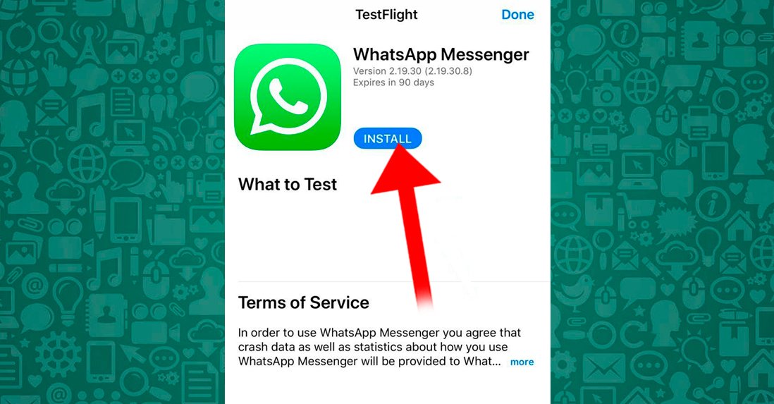 Com ser WhatsApp beta tester al teu mòbil iOS o Android