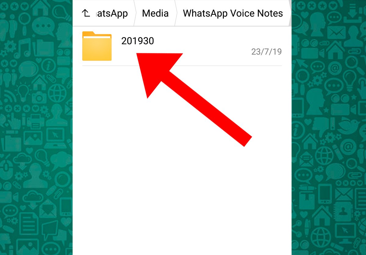 WhatsApp audio: where they are saved and how to delete them to free up space
