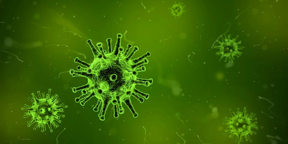 Le parvovirus est le virus le plus dangereux et le plus contagieux.