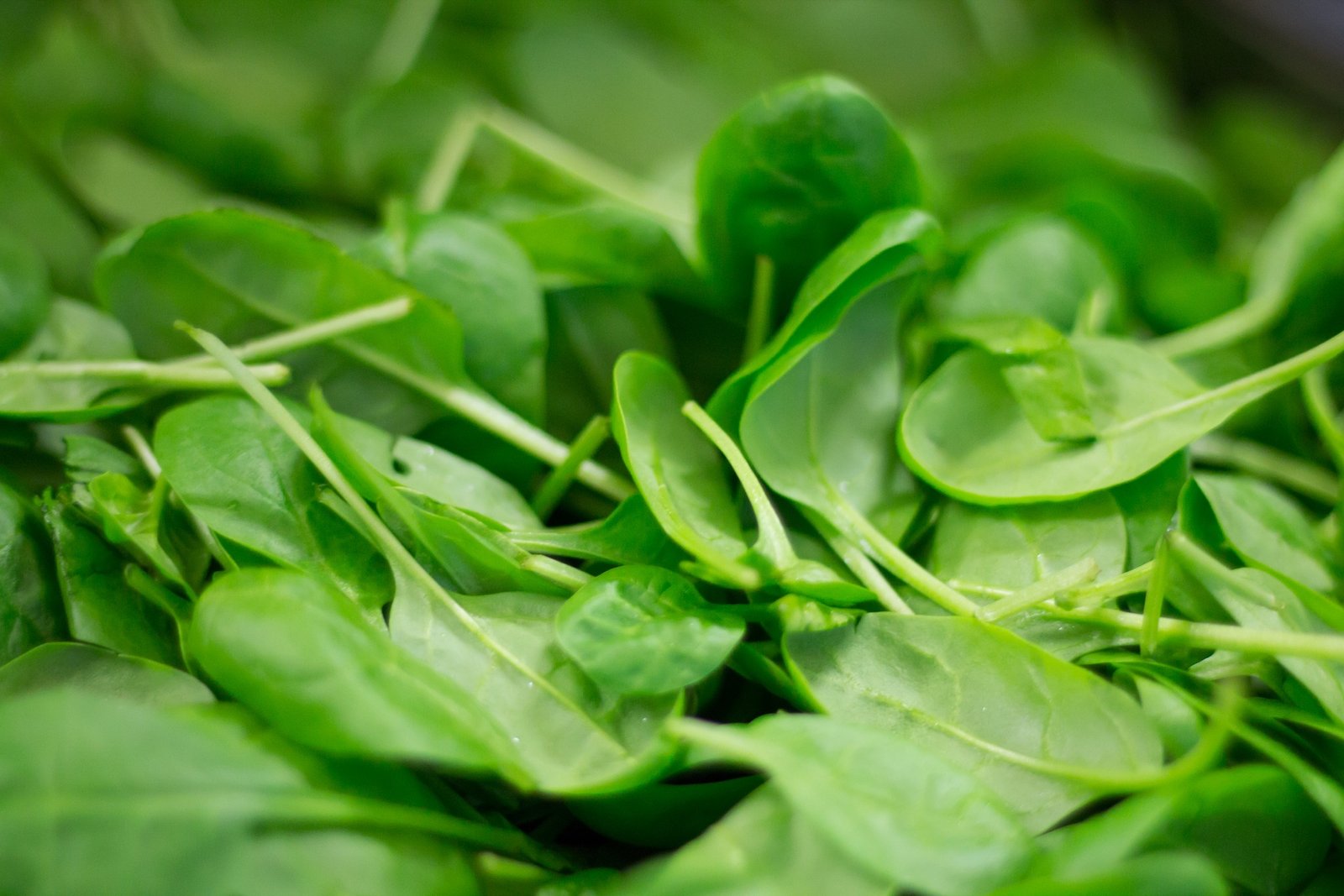 La mayoría de verduras de hoja verde suelen ser muy buenas para la salud.