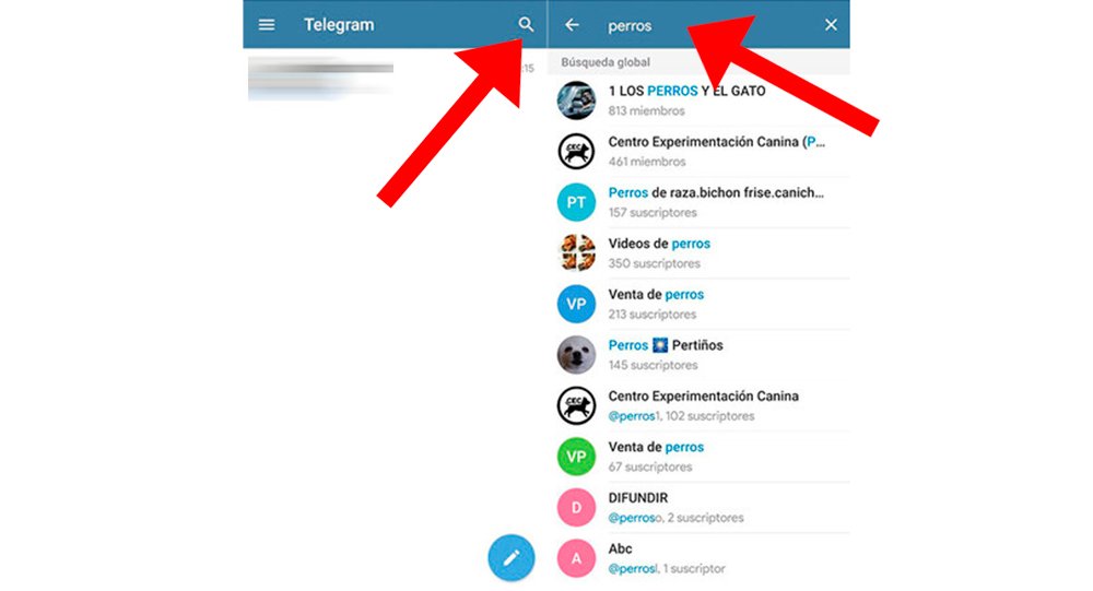 Cómo buscar grupos en Telegram